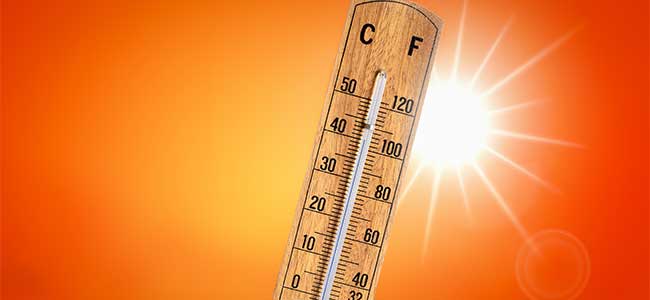 Florida Labor Contractor Faces Penalties After Worker Dies from Heat-Related Illness