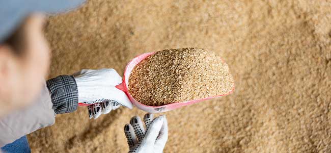 Wisconsin Animal Feed Plant Faces $161,332 in OSHA 澳洲幸运10开奖 Penalties for Dust Hazards